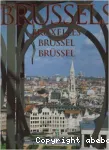 A portrait of Brussels Bruxelles Brussel Brüssel