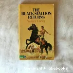 The black stallion returns