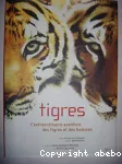 Tigres : l'extraordinaire aventure des tigres et des hommes